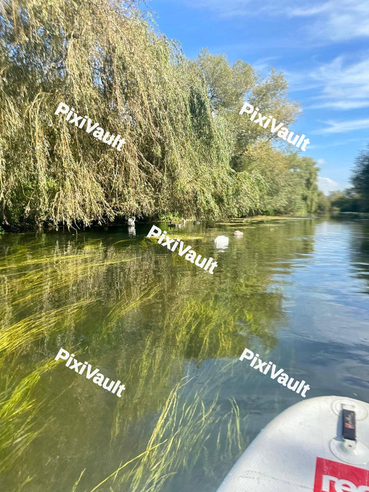 River View